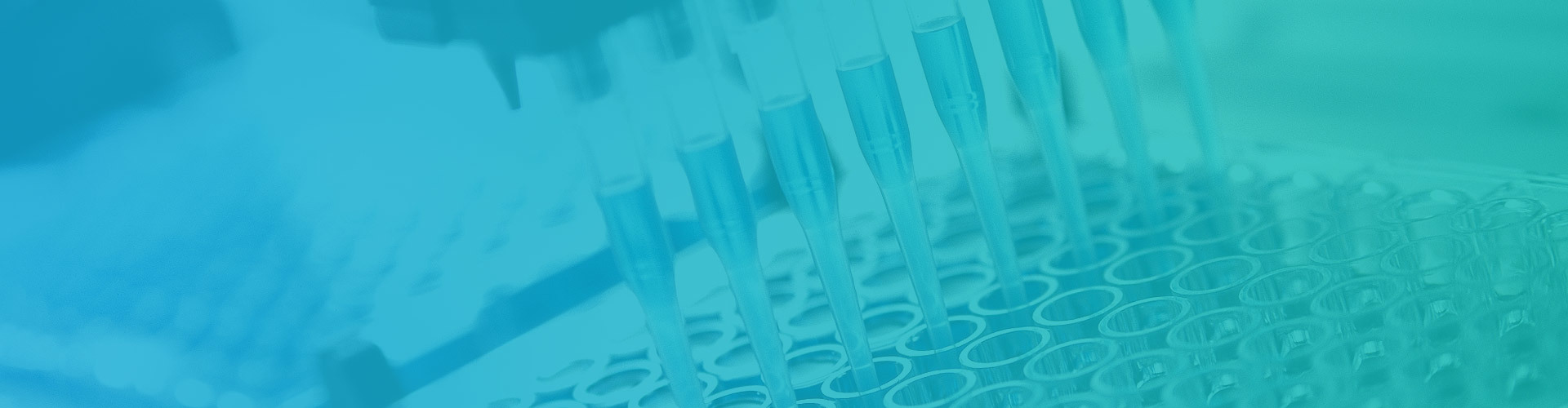 遇見(jiàn)海(hǎi)步